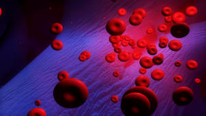 m14_030 Rote Blutkrperchen (Erythrozyten)